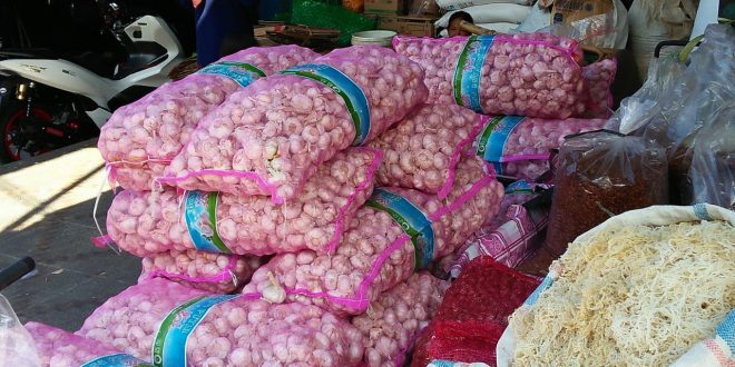 Pemkot bengkulu