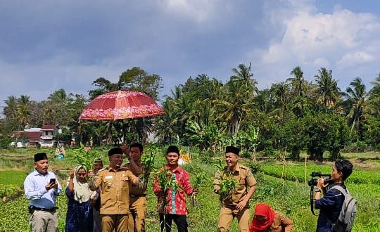 Pemkot bengkulu