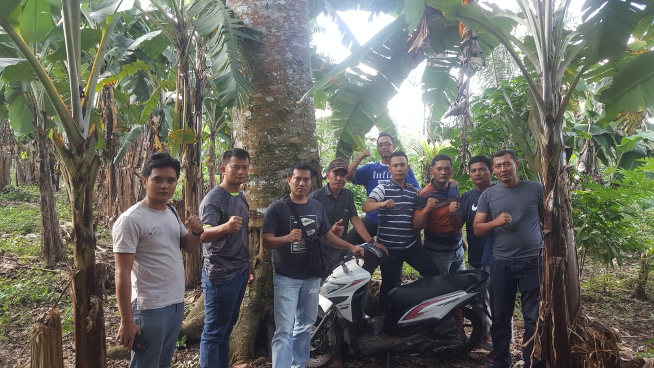 Hukum