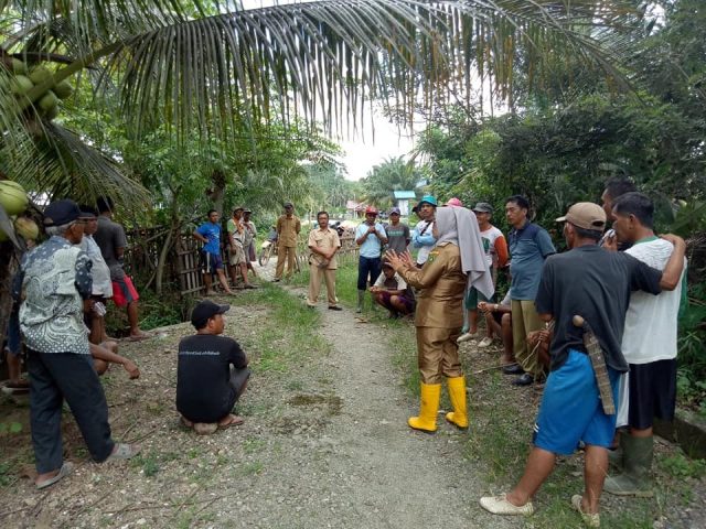 Daerah