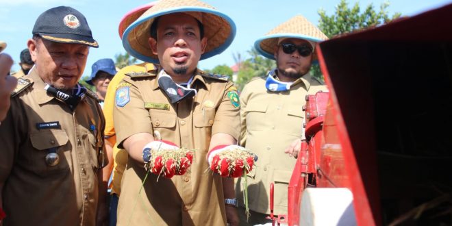 Pemkot bengkulu