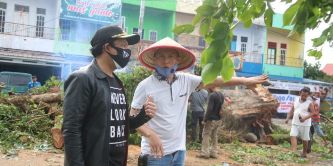Pemkot bengkulu