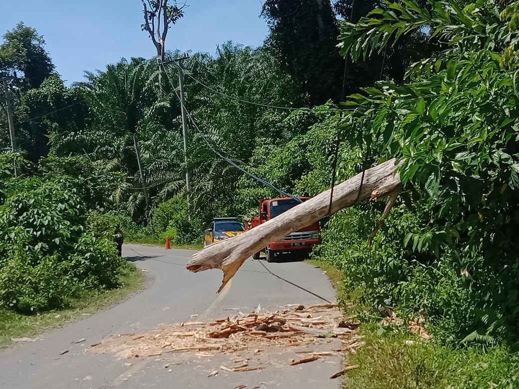 Daerah