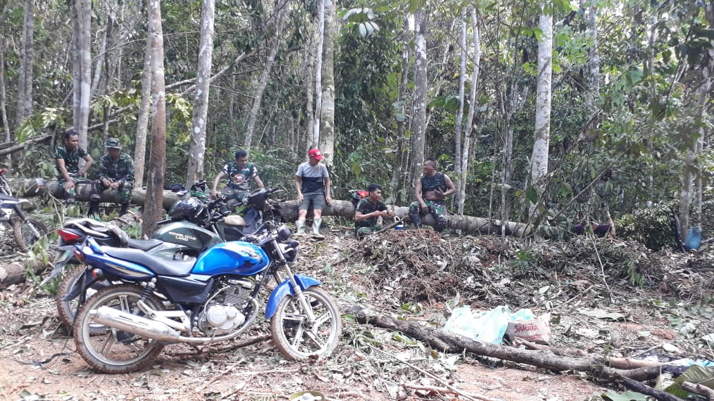 Nasional