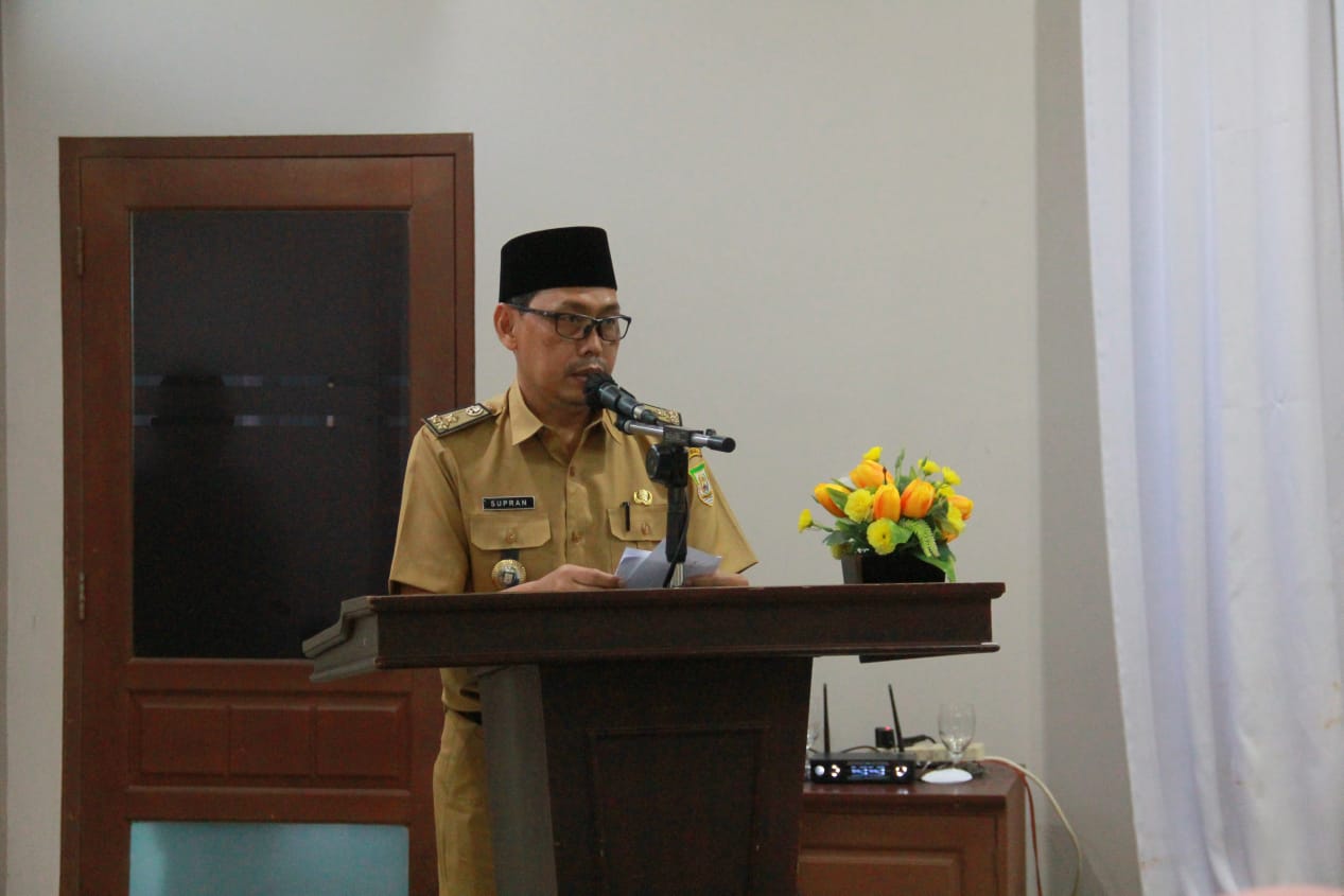 Pemerintahan