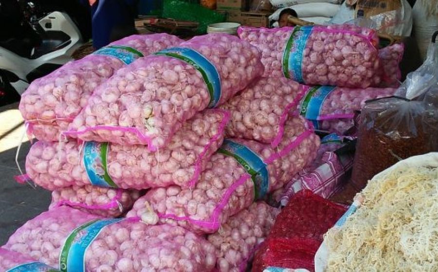 Pemkot bengkulu