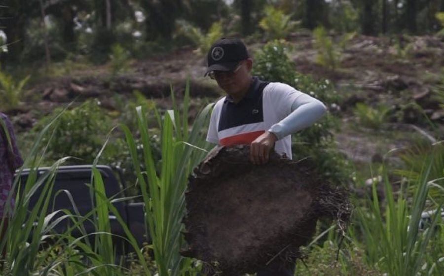 Daerah