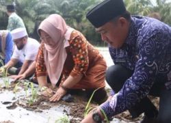 Pemkot bengkulu