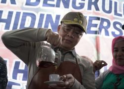 Pemerintahan