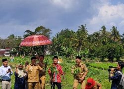 Pemkot bengkulu