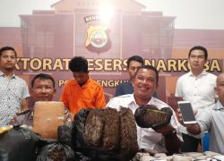 Hukum