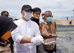 Pemerintahan