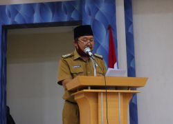 Pemkot bengkulu