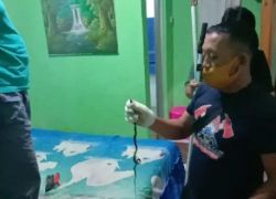 Pemkot bengkulu