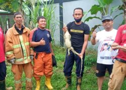 Pemkot bengkulu