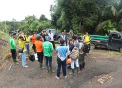 Nasional