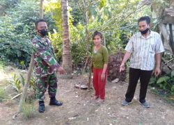 Nasional